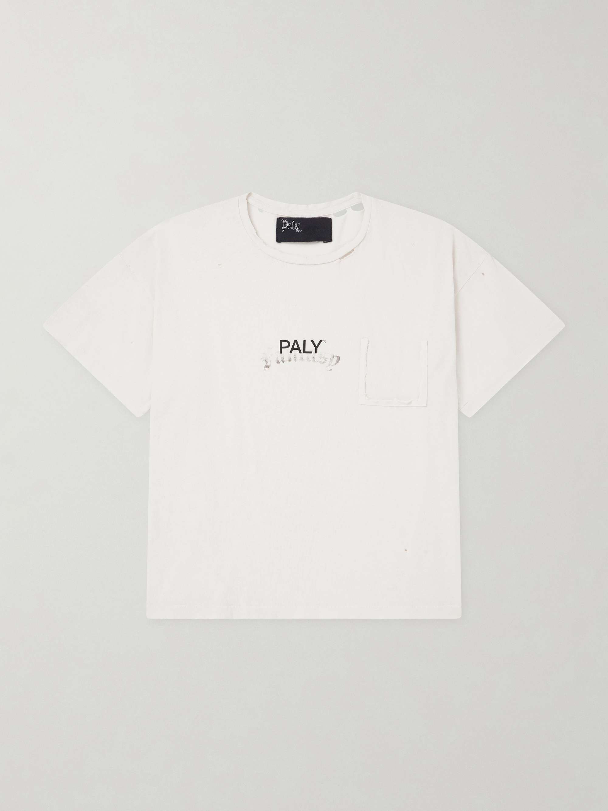 PALY HOLLYWOOD 