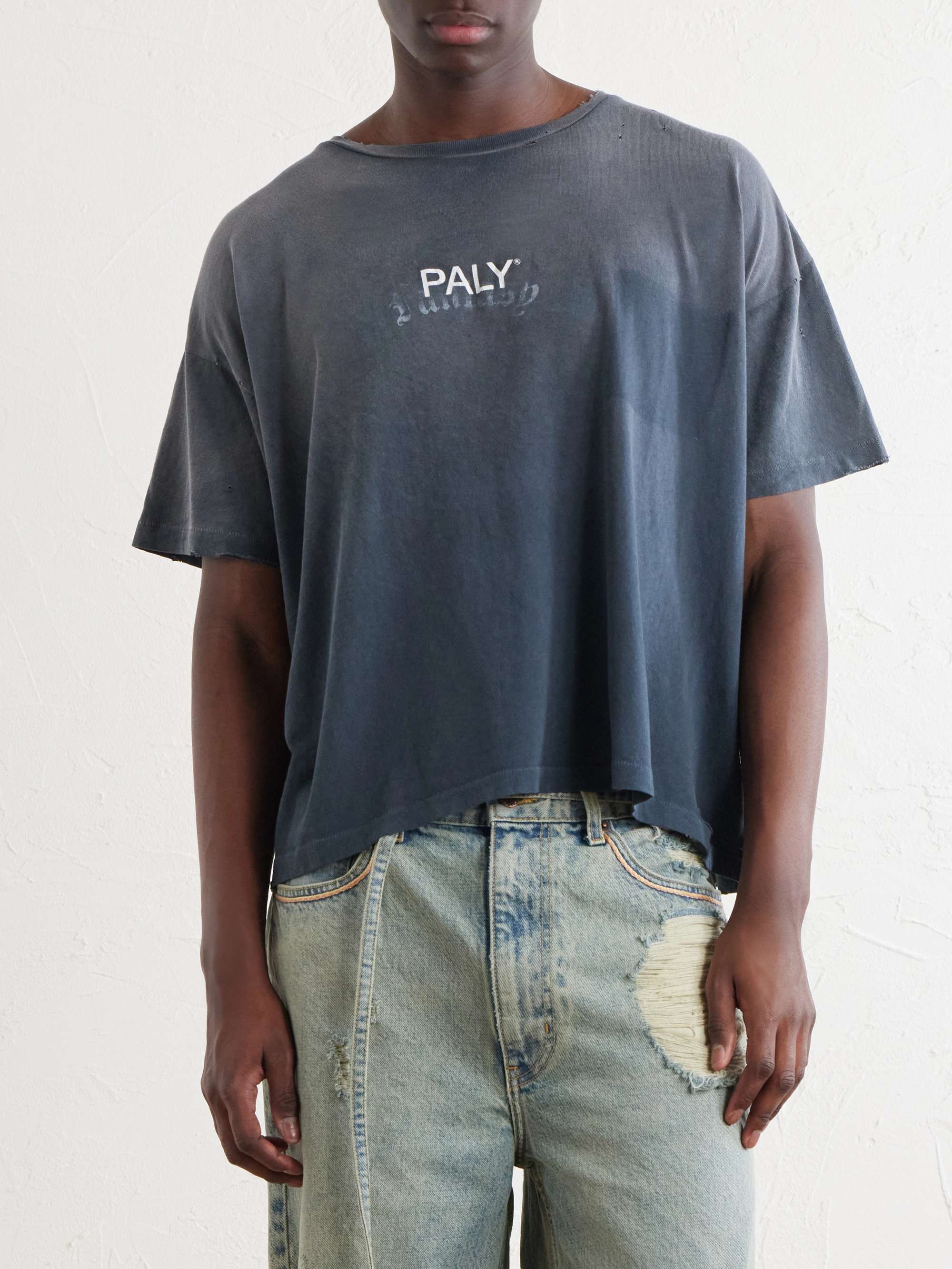 PALY HOLLYWOOD 