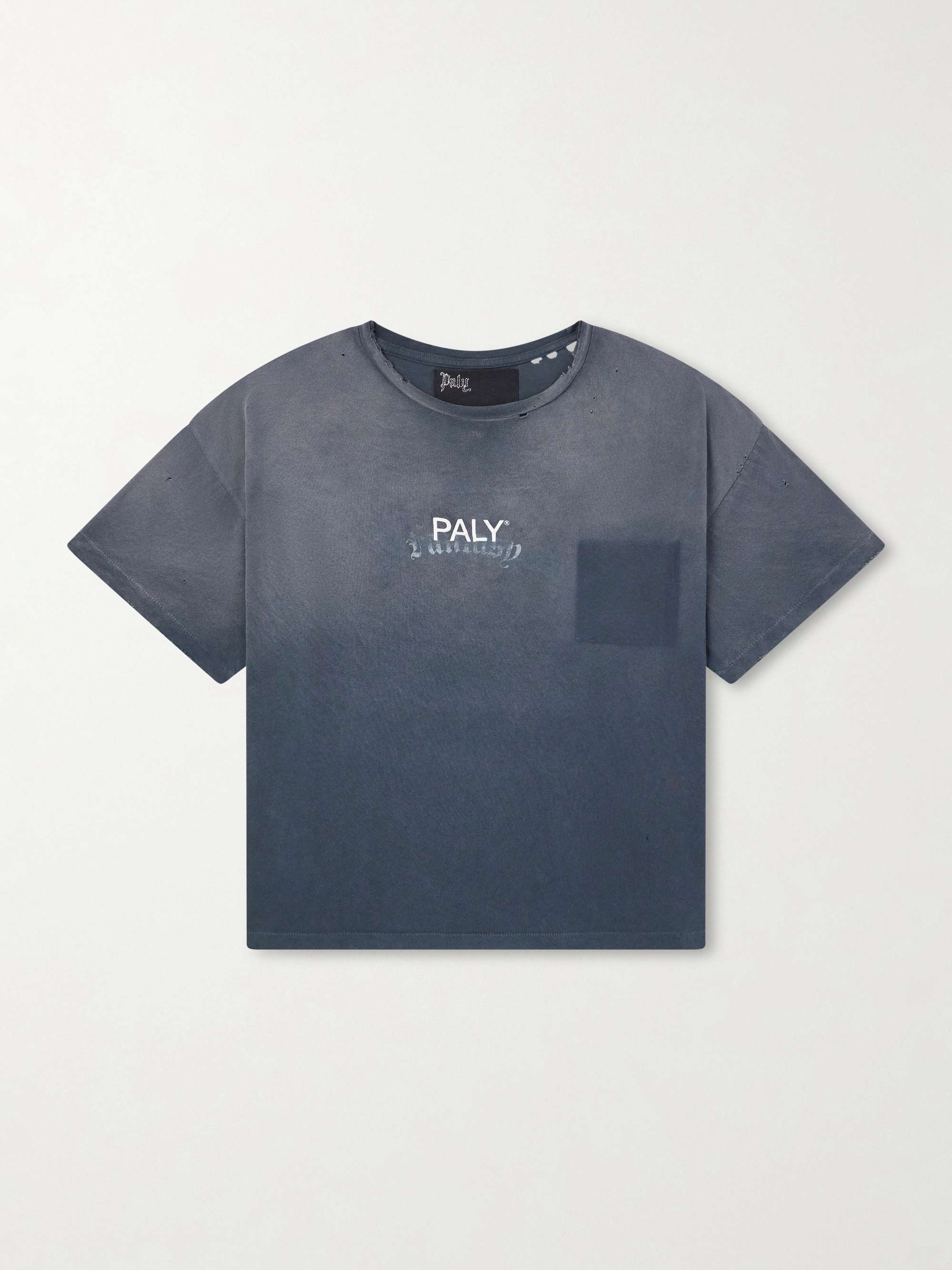 PALY HOLLYWOOD 