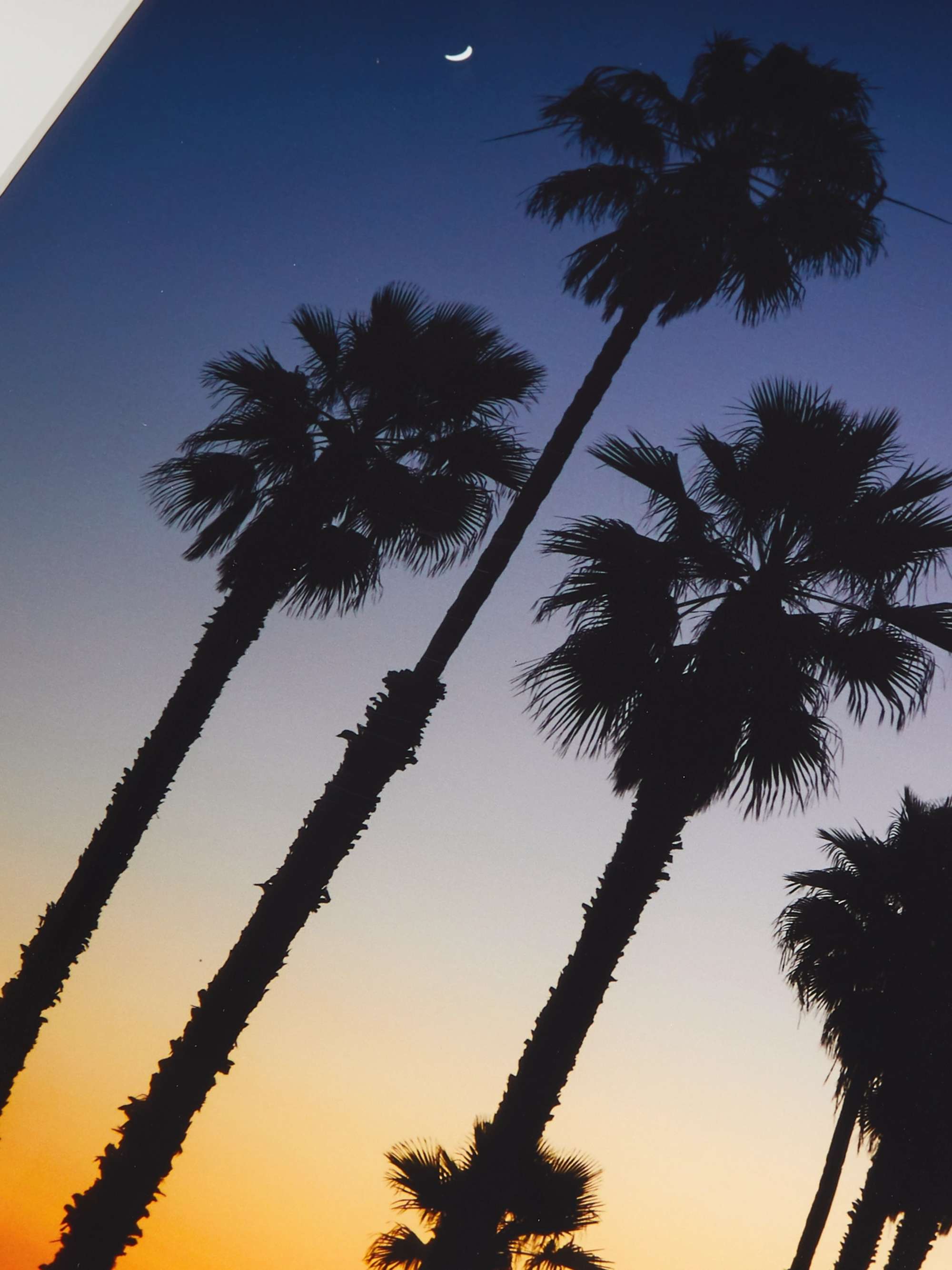 SONIC EDITIONS Framed 2018 Stephen Albanese LA Sunset Print, 16" x 20"