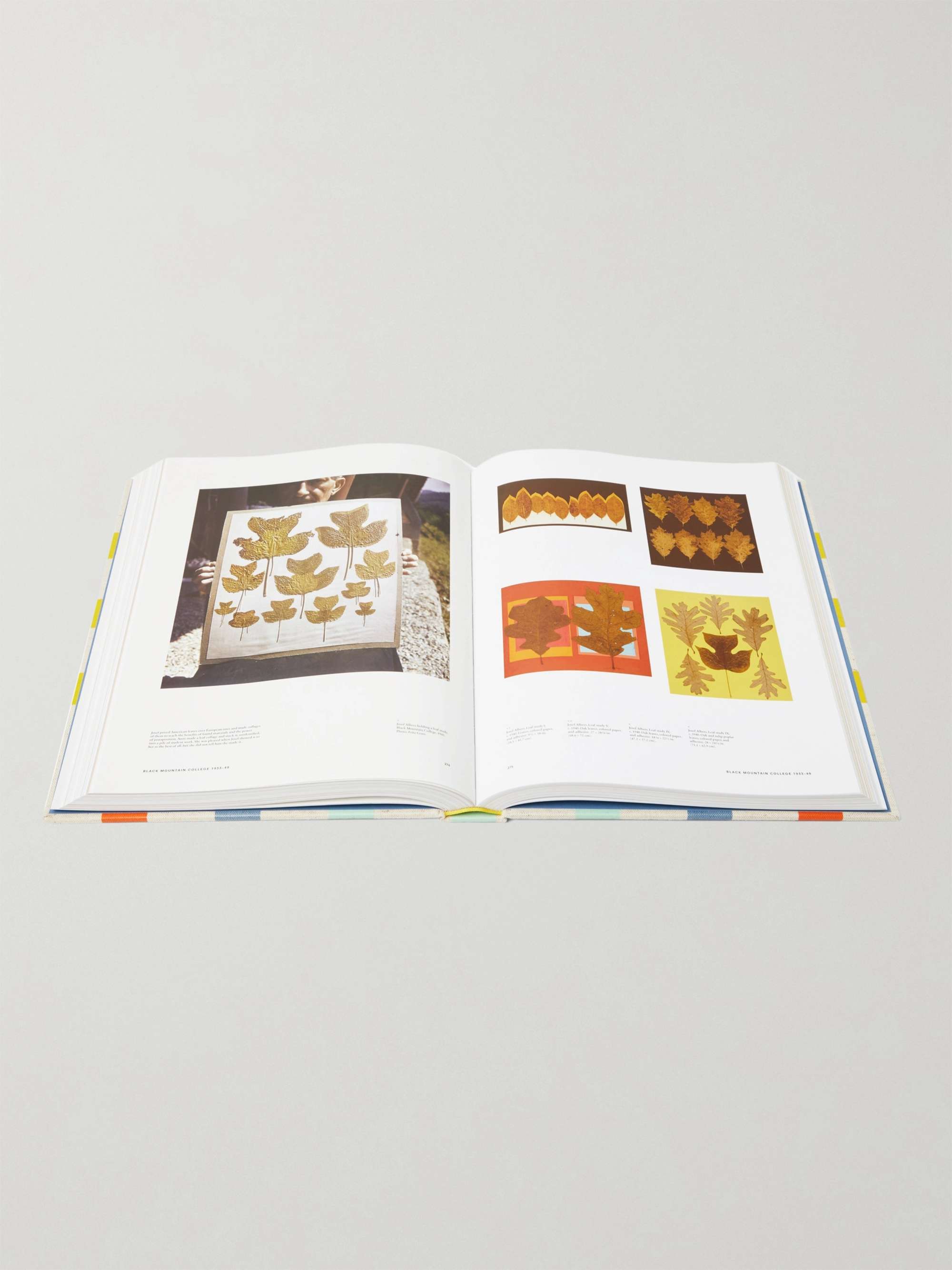 PHAIDON Anni & Josef Albers: Equal and Unequal Hardcover Book